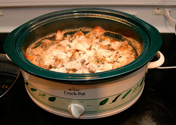 chicken stew slow cooker