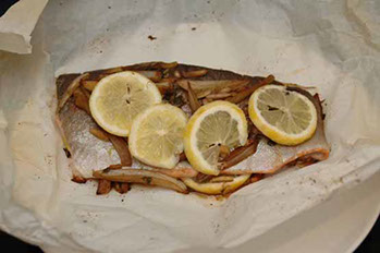 rainbow trout with fennel