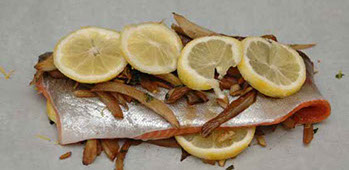 rainbow trout with fennel