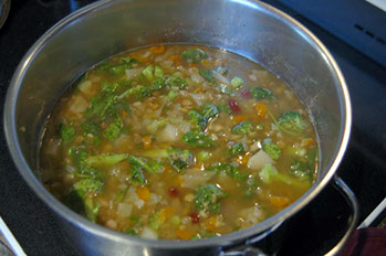 vegetable lentil soup